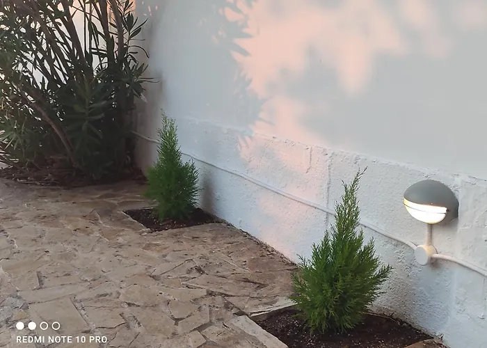 Apartment Andrew's Sunset View